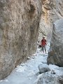 IMG_2225 - Copy
